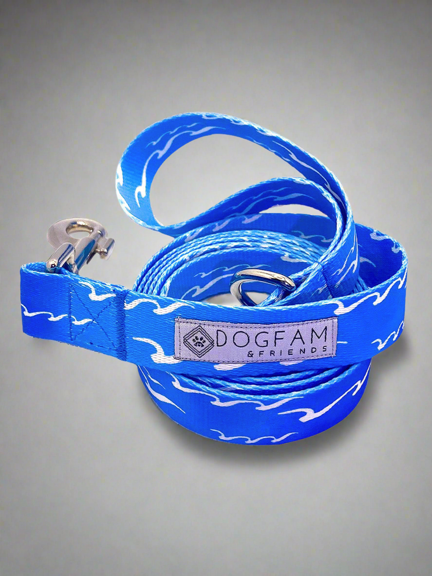 Catch a Wave Dog Leash