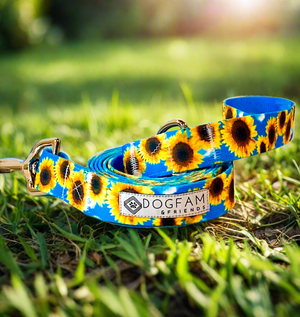 Sunflower Meadows Dog Leash