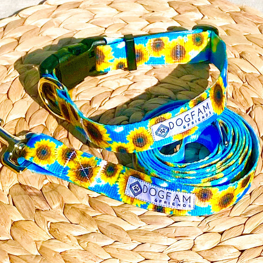 Sunflower Meadows Dog Leash