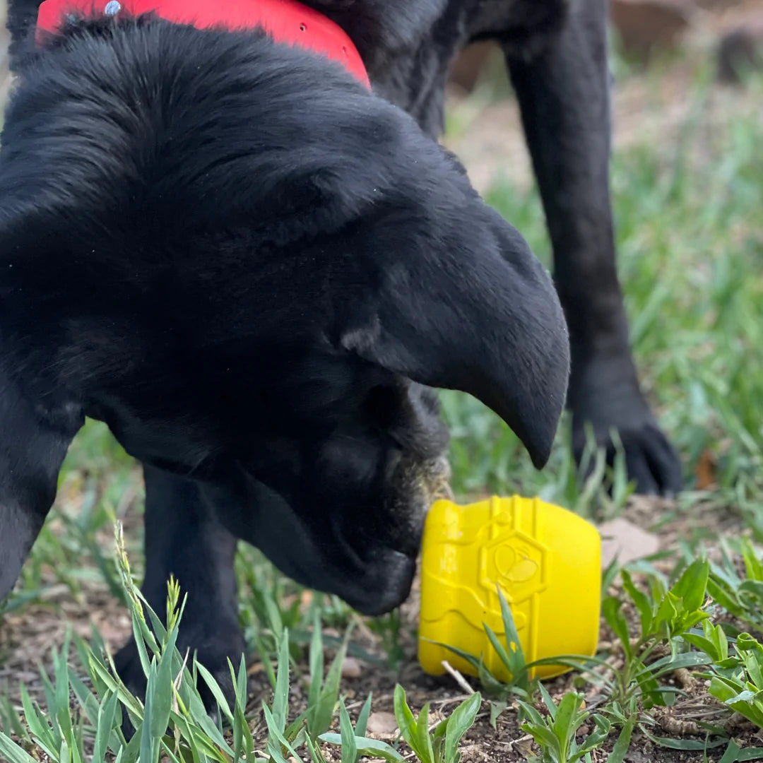 Large Honey Pot Durable Rubber Treat Dispenser & Enrichment